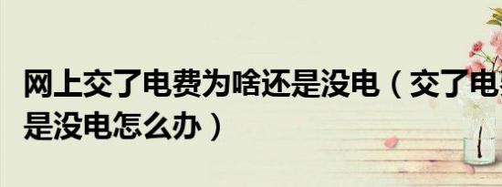 网上交了电费为啥还是没电（交了电费怎么还是没电怎么办）