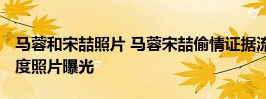 马蓉和宋喆照片 马蓉宋喆偷情证据流出 大尺度照片曝光