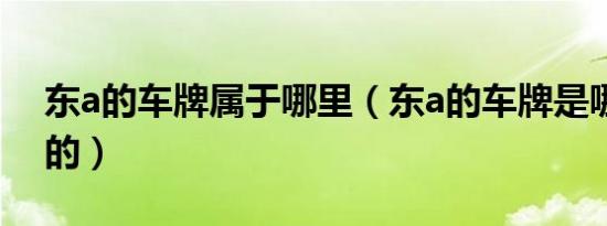 东a的车牌属于哪里（东a的车牌是哪个城市的）