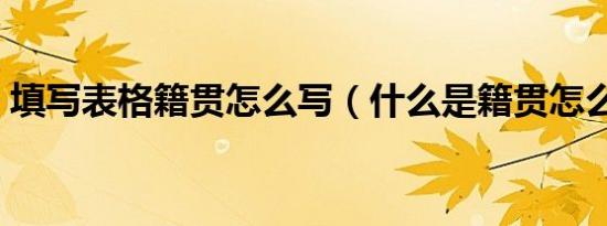 填写表格籍贯怎么写（什么是籍贯怎么填写）