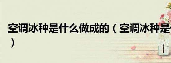 空调冰种是什么做成的（空调冰种是什么东西）