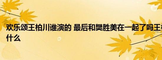 欢乐颂王柏川谁演的 最后和樊胜美在一起了吗王柏川结局是什么