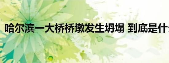 哈尔滨一大桥桥墩发生坍塌 到底是什么原因