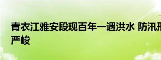 青衣江雅安段现百年一遇洪水 防汛形势十分严峻