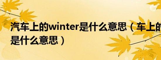 汽车上的winter是什么意思（车上的winter是什么意思）