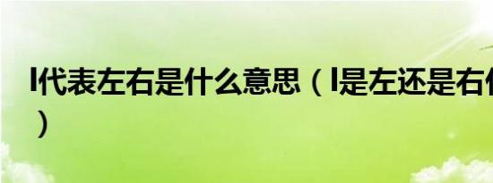 l代表左右是什么意思（l是左还是右什么意思）