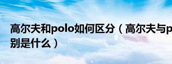 高尔夫和polo如何区分（高尔夫与polo的区别是什么）