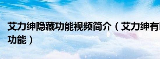 艾力绅隐藏功能视频简介（艾力绅有哪些隐藏功能）