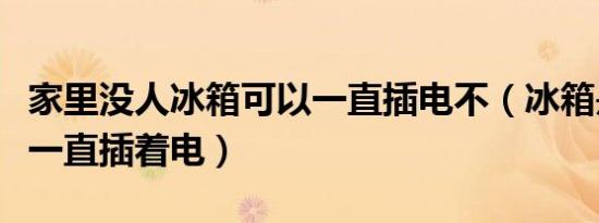 家里没人冰箱可以一直插电不（冰箱是不是要一直插着电）