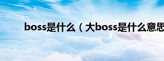 boss是什么（大boss是什么意思）