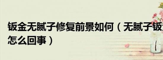 钣金无腻子修复前景如何（无腻子钣金修复是怎么回事）