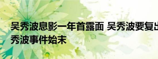 吴秀波息影一年首露面 吴秀波要复出了吗吴秀波事件始末