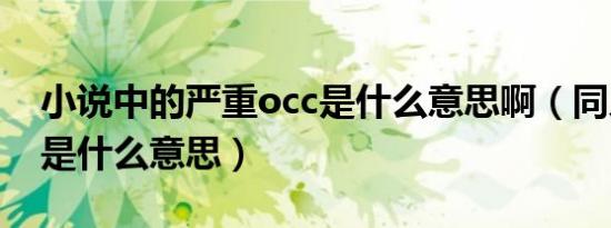 小说中的严重occ是什么意思啊（同人文occ是什么意思）