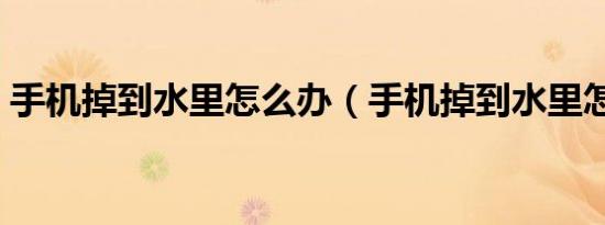 手机掉到水里怎么办（手机掉到水里怎么办）
