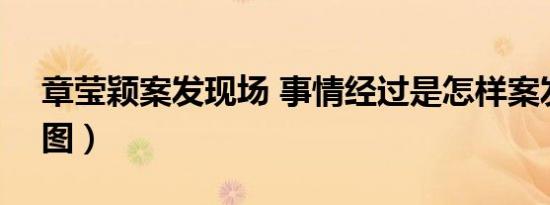 章莹颖案发现场 事情经过是怎样案发现场（图）