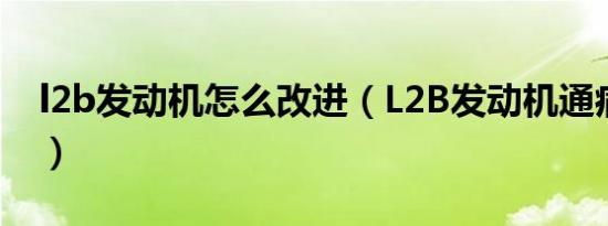 l2b发动机怎么改进（L2B发动机通病有哪些）