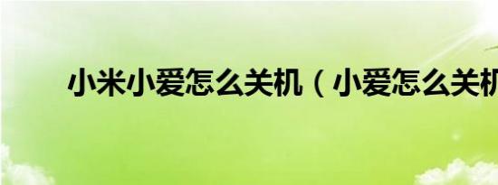 小米小爱怎么关机（小爱怎么关机）
