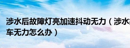 涉水后故障灯亮加速抖动无力（涉水故障灯亮车无力怎么办）