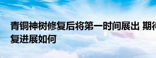 青铜神树修复后将第一时间展出 期待目前修复进展如何