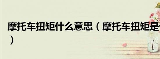 摩托车扭矩什么意思（摩托车扭矩是什么意思）