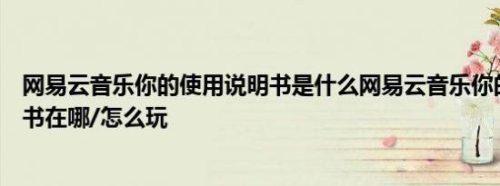 网易云音乐你的使用说明书是什么网易云音乐你的使用说明书在哪/怎么玩