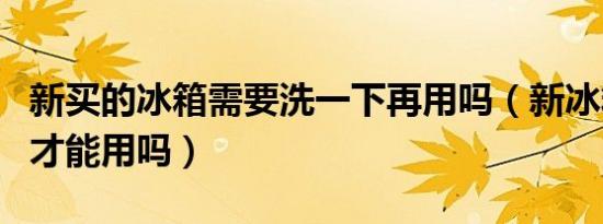 新买的冰箱需要洗一下再用吗（新冰箱要洗后才能用吗）
