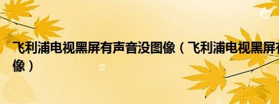 飞利浦电视黑屏有声音没图像（飞利浦电视黑屏有声音没图像）