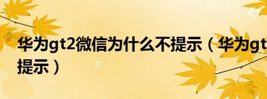 华为gt2微信为什么不提示（华为gt2微信不提示）