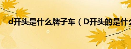 d开头是什么牌子车（D开头的是什么车）