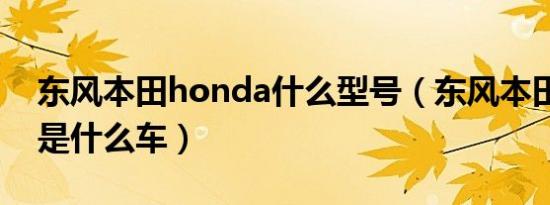 东风本田honda什么型号（东风本田honda是什么车）