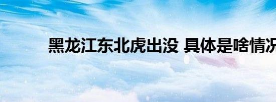 黑龙江东北虎出没 具体是啥情况