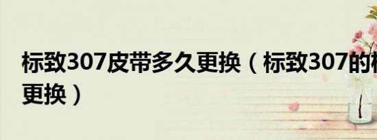 标致307皮带多久更换（标致307的机脚多久更换）
