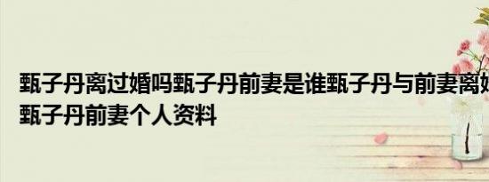 甄子丹离过婚吗甄子丹前妻是谁甄子丹与前妻离婚原因曝光 甄子丹前妻个人资料