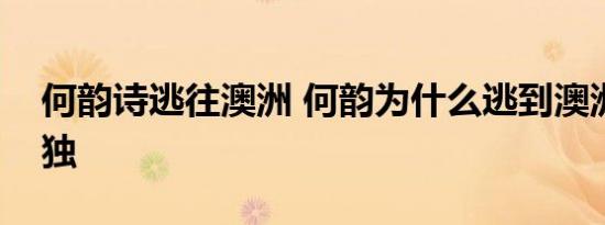 何韵诗逃往澳洲 何韵为什么逃到澳洲她是港独
