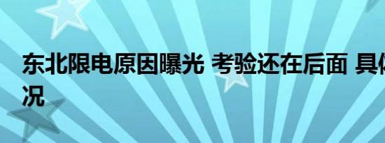 东北限电原因曝光 考验还在后面 具体是啥情况