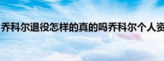 乔科尔退役怎样的真的吗乔科尔个人资料介绍