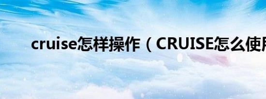 cruise怎样操作（CRUISE怎么使用）