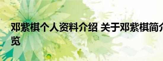 邓紫棋个人资料介绍 关于邓紫棋简介详情一览