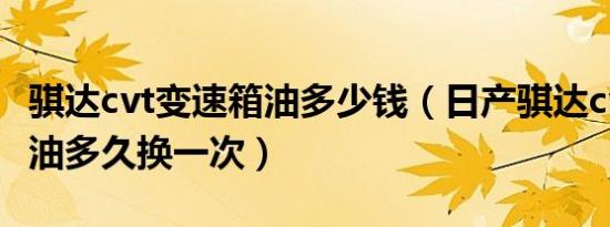 骐达cvt变速箱油多少钱（日产骐达cvt变速箱油多久换一次）