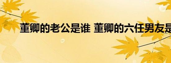 董卿的老公是谁 董卿的六任男友是谁