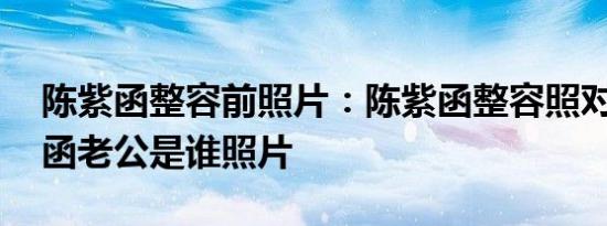陈紫函整容前照片：陈紫函整容照对比 陈紫函老公是谁照片