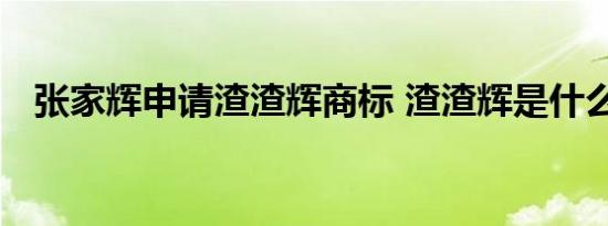 张家辉申请渣渣辉商标 渣渣辉是什么意思