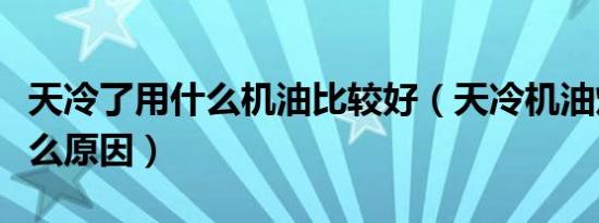 天冷了用什么机油比较好（天冷机油灯亮是什么原因）