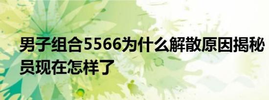 男子组合5566为什么解散原因揭秘 5566成员现在怎样了