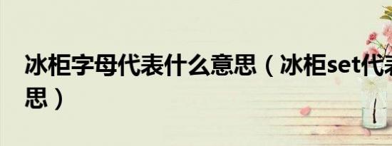 冰柜字母代表什么意思（冰柜set代表什么意思）