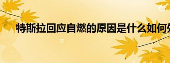 特斯拉回应自燃的原因是什么如何处理