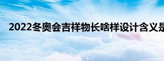 2022冬奥会吉祥物长啥样设计含义是什么