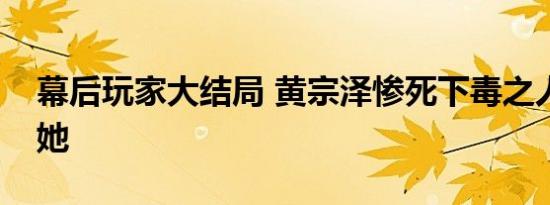 幕后玩家大结局 黄宗泽惨死下毒之人竟然是她