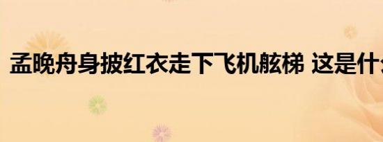 孟晚舟身披红衣走下飞机舷梯 这是什么场面