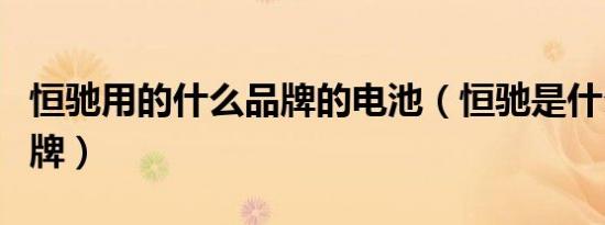 恒驰用的什么品牌的电池（恒驰是什么车的品牌）